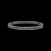 The Last Line Perfect Eternity Band