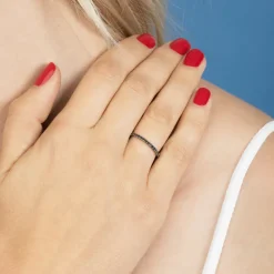 The Last Line Perfect Eternity Band