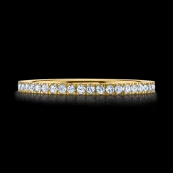The Last Line Perfect Eternity Band