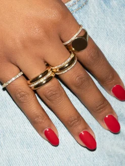 The Last Line Perfect Eternity Band
