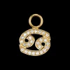 The Last Line Zodiac Hoop Earring Charm