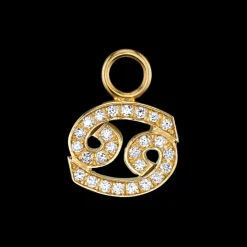 The Last Line Zodiac Hoop Earring Charm