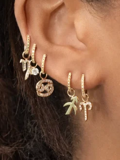 The Last Line Zodiac Hoop Earring Charm