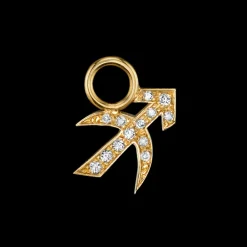 The Last Line Zodiac Hoop Earring Charm