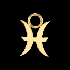 The Last Line Zodiac Hoop Earring Charm