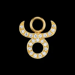 The Last Line Zodiac Hoop Earring Charm