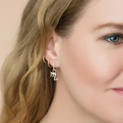 The Last Line Zodiac Hoop Earring Charm