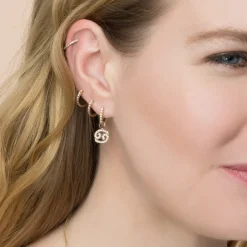 The Last Line Zodiac Hoop Earring Charm