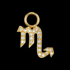 The Last Line Zodiac Hoop Earring Charm