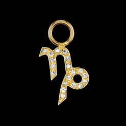The Last Line Zodiac Hoop Earring Charm