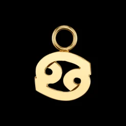 The Last Line Zodiac Hoop Earring Charm