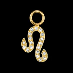 The Last Line Zodiac Hoop Earring Charm