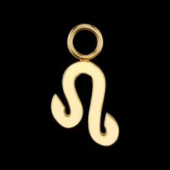 The Last Line Zodiac Hoop Earring Charm