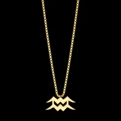 The Last Line Zodiac Station Necklace
