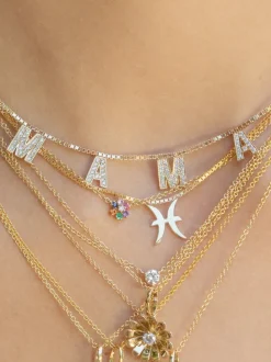 The Last Line Zodiac Station Necklace