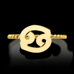The Last Line Zodiac Station Ring