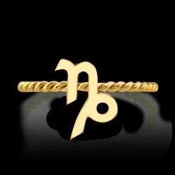 The Last Line Zodiac Station Ring
